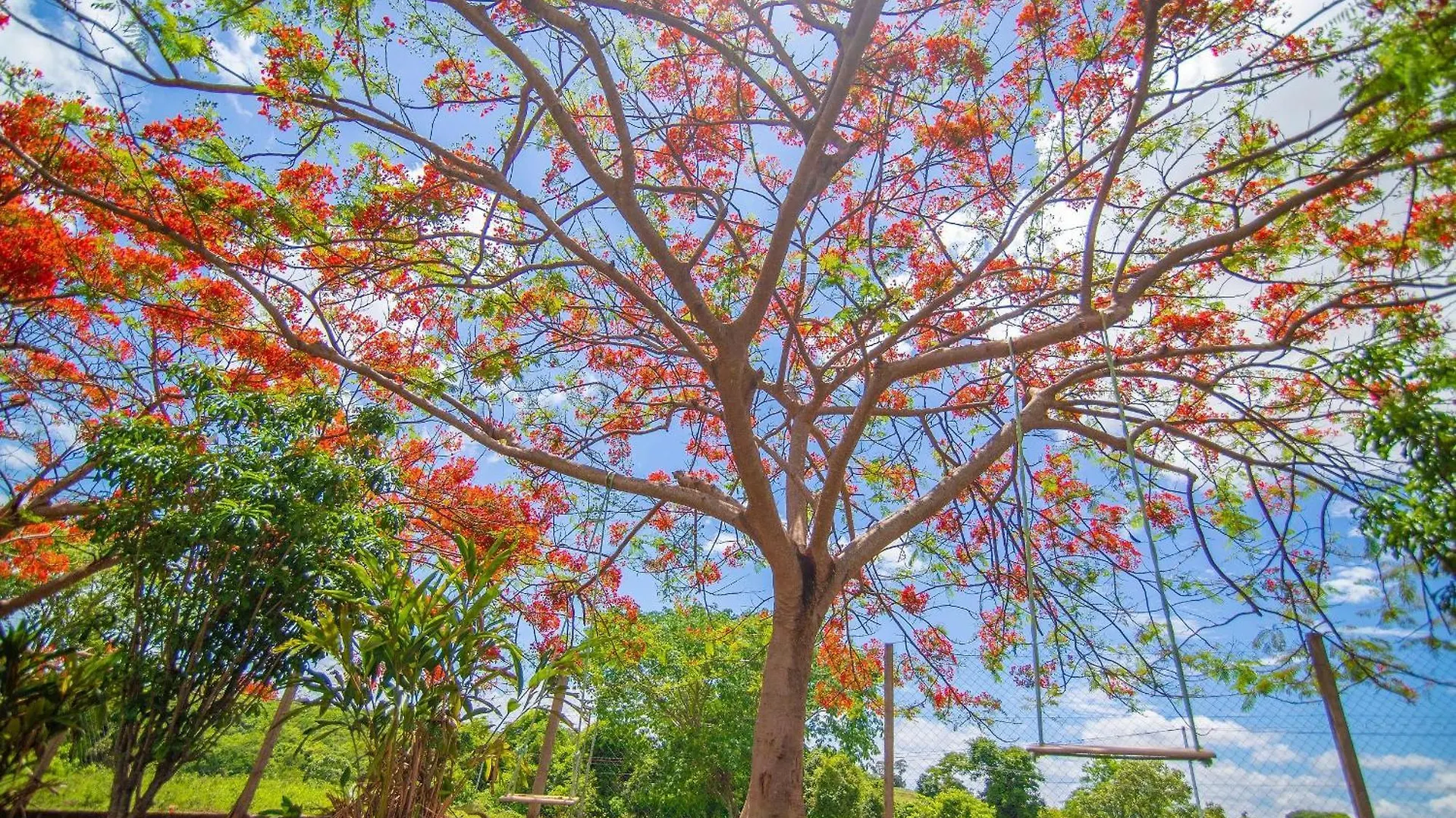Recanto De Lazer C/ Piscina, Bar Molhado E Sinuca Caldas Novas